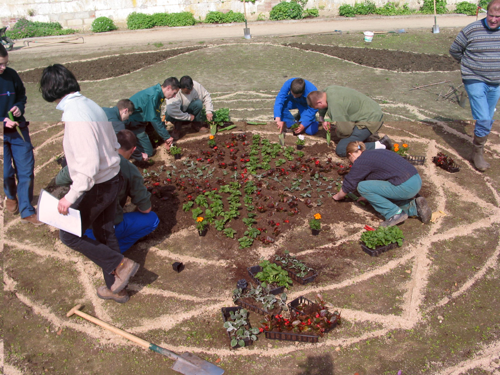 Image 4 du projet Tournefleurs