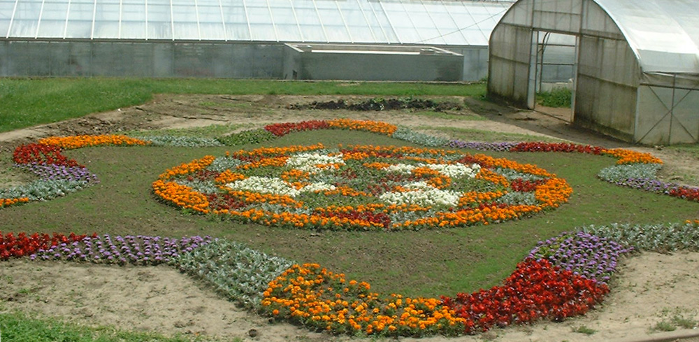 Image 5 du projet Tournefleurs